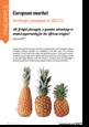 Magazine's thumb Air-freight pineapple in 2022-23 - European market